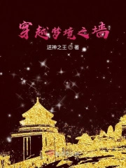 梦境之墙