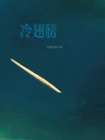 冷翅膀