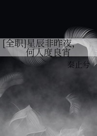 [全职] 星辰非昨夜，何人度良宵